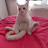 @TuranTheCat