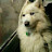 @user-hg7en4np6n