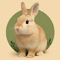 Bunny Nook logo