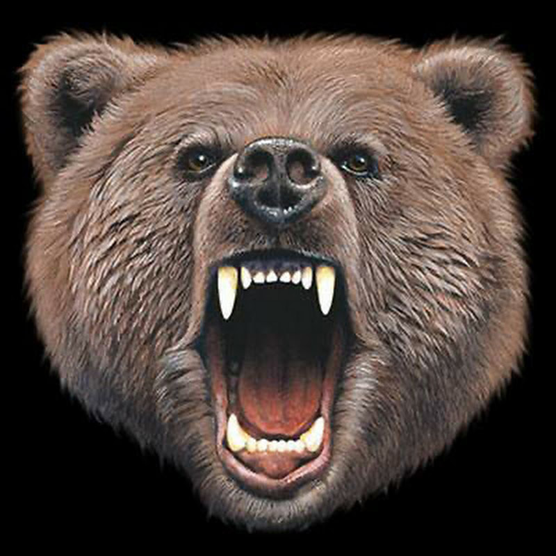 Old School Grizzly