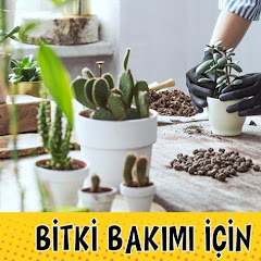 Bitki bakım tüyoları