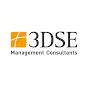 3DSE Management Consultants logo
