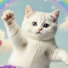 Funny Cats