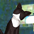 ePJdH5--VPg-channel-avatar-Still Awake Japanese