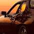 DizZsXy0SDU-channel-avatar-the924