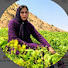 _WOzic8zS6g-channel-avatar-Sahand