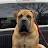 @MEMPHISMADEBOERBOELS