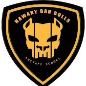 Hawary Ban Bulls Egy