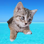 �ݸ�ǭ�Τ������_icon