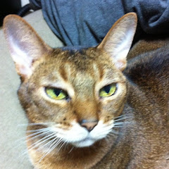 pearl palms (ぱぁーるん)