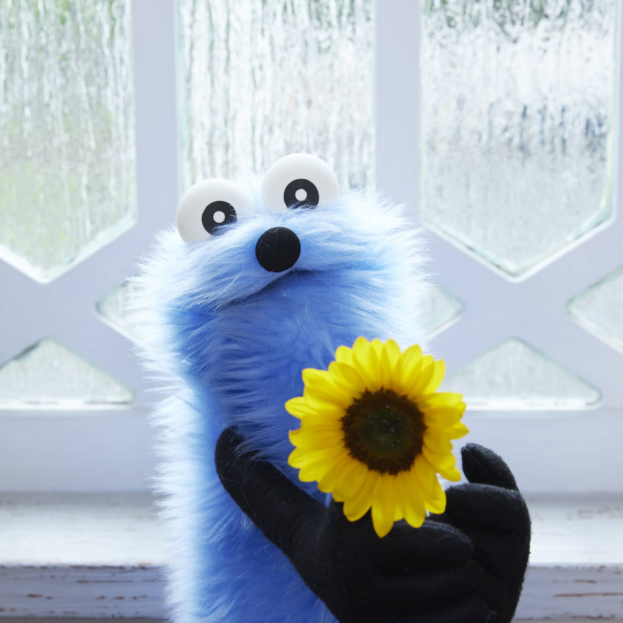 すんすん❗️❗️ FpMCzM-