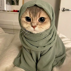 °قصص…حكايات°