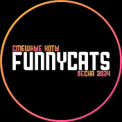 My FUNNY CATS 2024