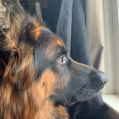 Lorna’s little world with max !