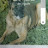 killroy63