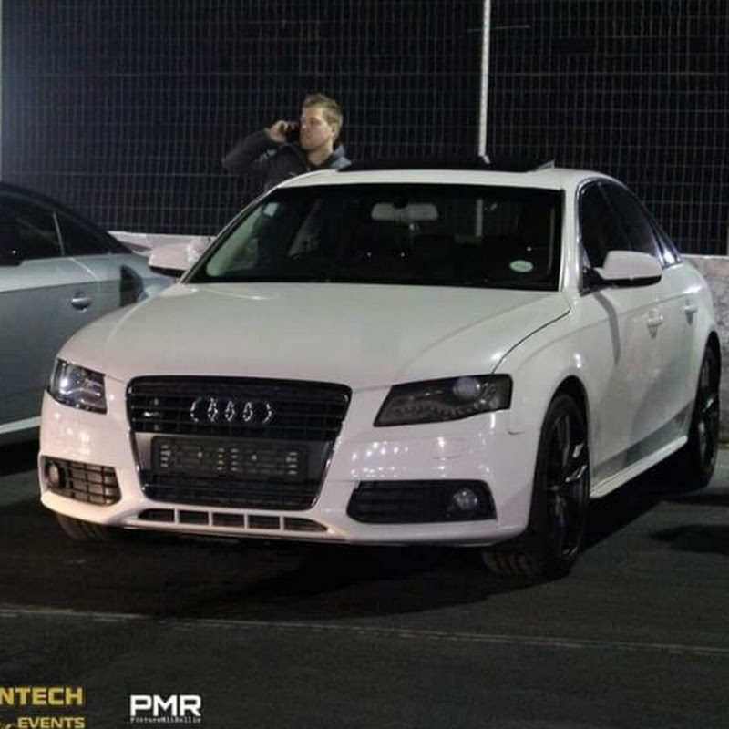 Megalodon on Wheels