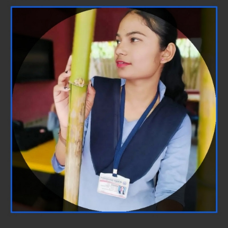 Hire sejal rohankar — Arts & Crafts YouTube creator for sponsorships