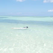 ココタックちゃんねる【おとぼけ夫婦の思い出づくりVlog】