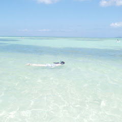 ココタックちゃんねる【おとぼけ夫婦の思い出づくりVlog】