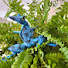 VNGjUro1R4c-channel-avatar-Tfrog