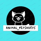 animal_pet shorts
