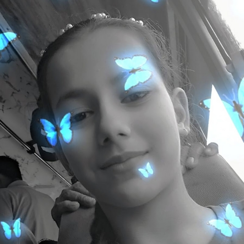 creative bhumi 