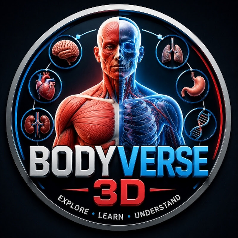 BodyVerse 3D