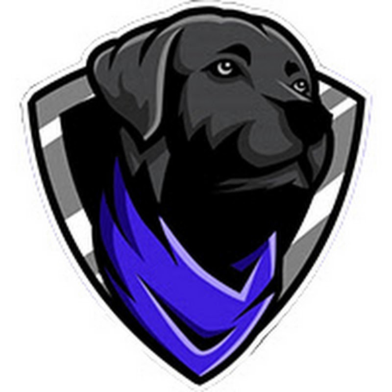 StraydogTV logo
