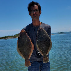 Southern Fish 'N Forage