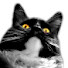 Er1bfEOCogs-channel-avatar-QueueKyoo