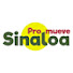 XPDNR1VRa1Q-channel-avatar-Promueve Sinaloa