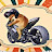 @cheemsbergspov Avatar