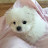 @레오사랑-f8i