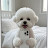 @user-ww8gc4tp1y