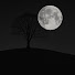 TlmfOpSpqUc-channel-avatar-Qemal Stafa Singh 