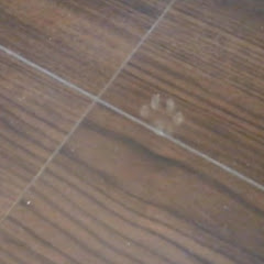 あすぺなのリタイア田舎暮らしVlog