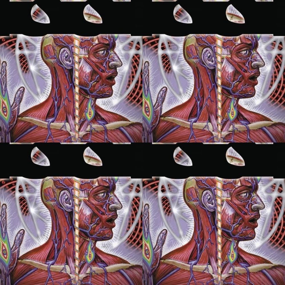 Lateralus
