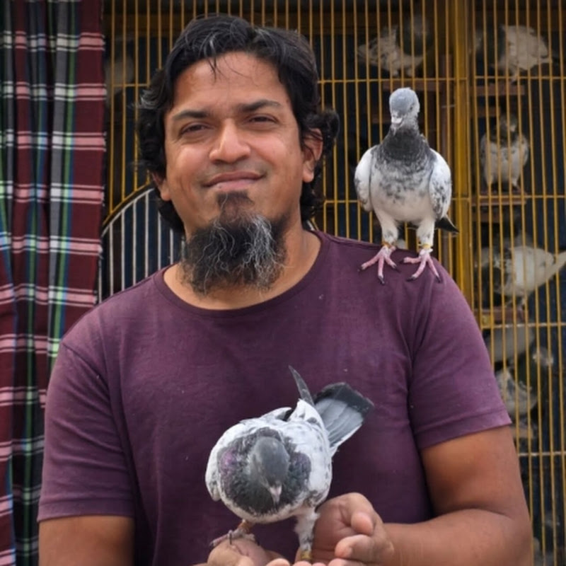 Naj Pigeon Lover 