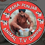 Mera punjab Animal Tv logo