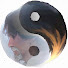JU1qvzgG6Wc-channel-avatar-Taichi Fever 