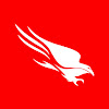 What could CrowdStrike buy with $594.17 thousand?