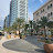 @sharjah246