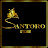 Santoro Store
