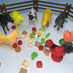 Rubber Animals Play