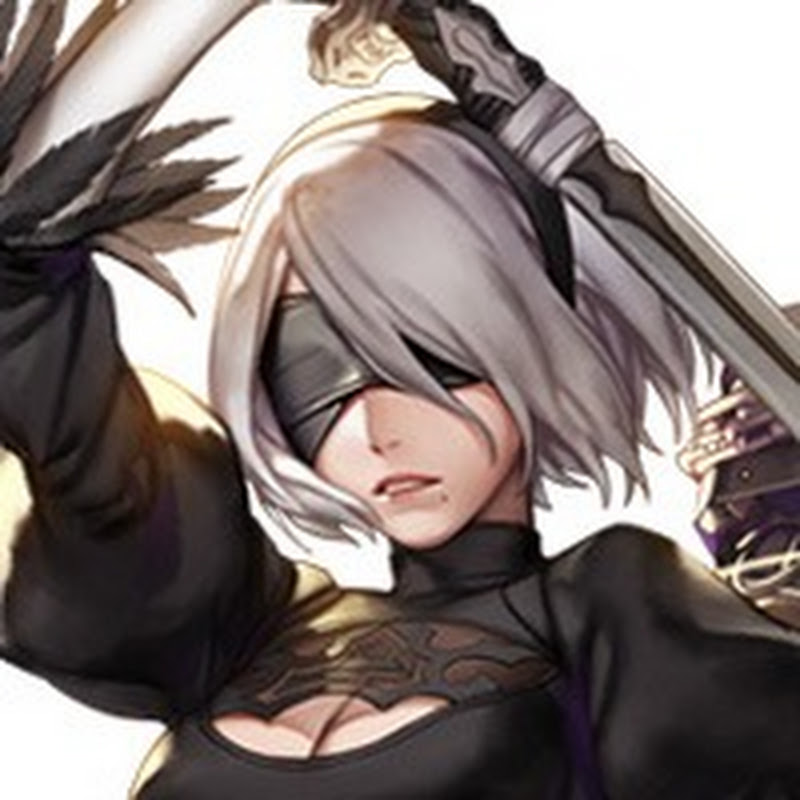 Renaegis