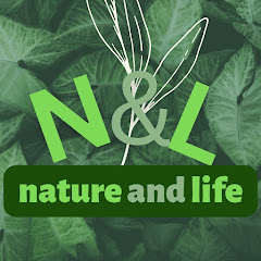 Nature and Life avatar