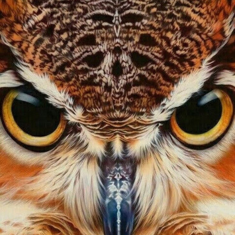 VersionVisual