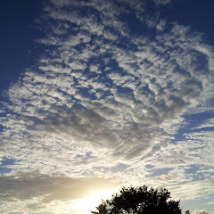 REDアイコン画像