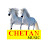 Chetan Music