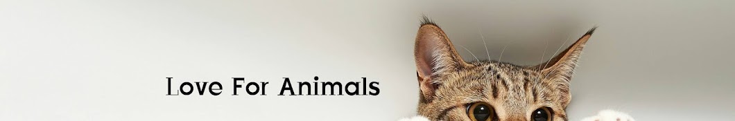 Love For Animals YouTube channel avatar